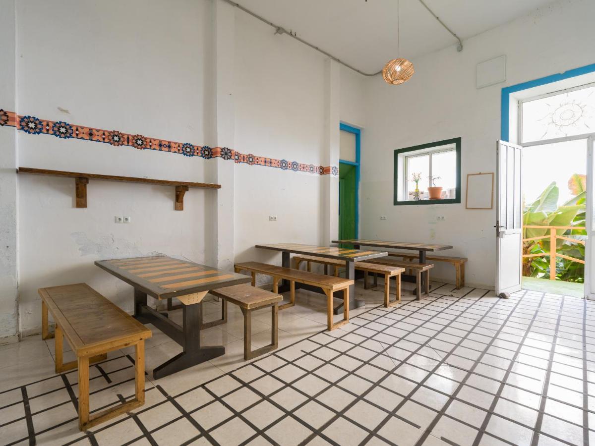 Jungle House Hostel Las Palmas de Gran Canaria Ngoại thất bức ảnh